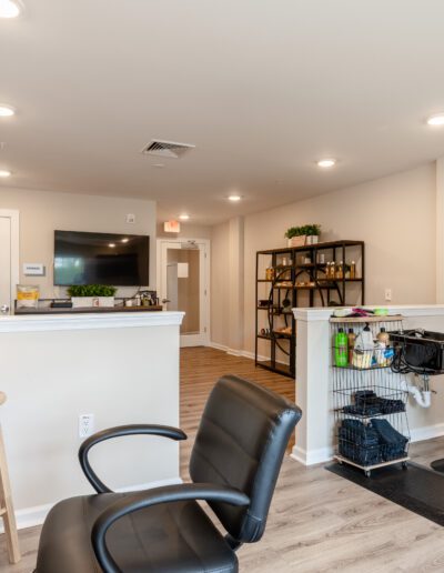 Salon Chair And Counter Area